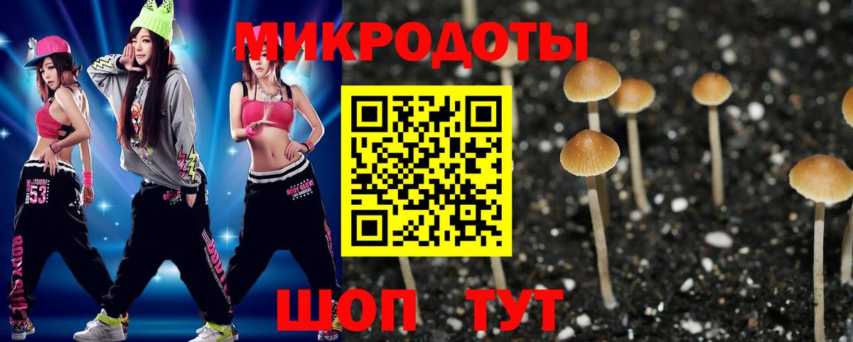 Псилоцибиновые грибы Magic Shrooms Саяногорск